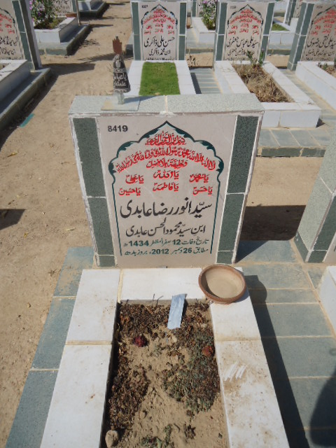 8419 – Syed Anwar Raza Abidi