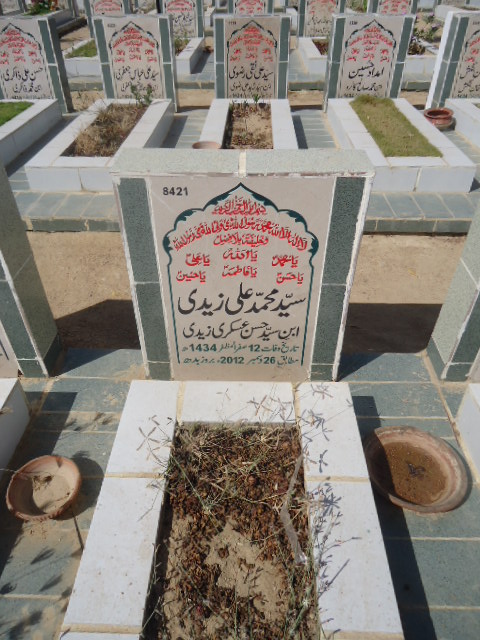8421 – Syed Muhammad Ali zaidi