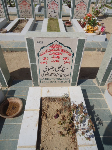 8422 – Syed Ali Rizvi