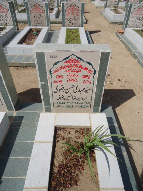 8428 – Syed Mehdi Hasan Rizvi
