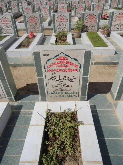 8431 – Syeda Jameela Begum