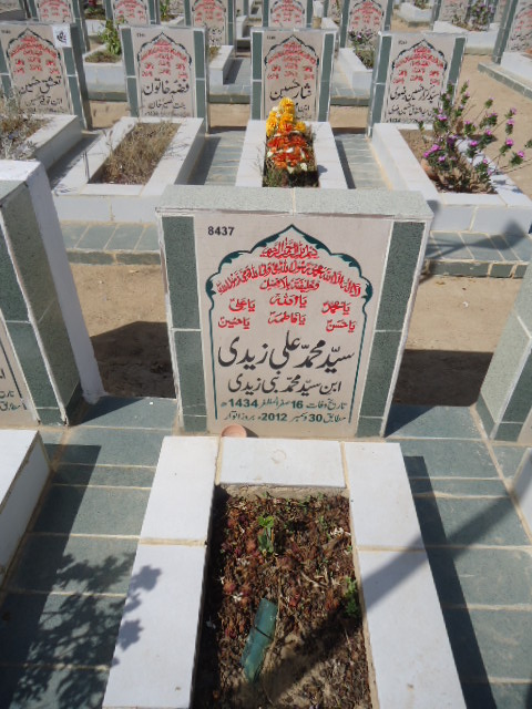 8437 – Syed Muhammad Ali Zaidi