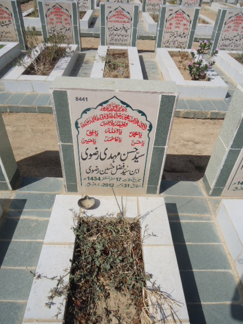 8441 – Syed Hasan Mehdi Rizvi