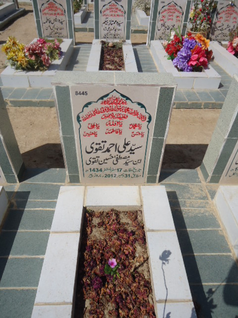 8445 – Syed Ali Ahmed Taqvi