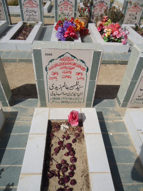 8446 – Syed Zaheer Alam Zaidi