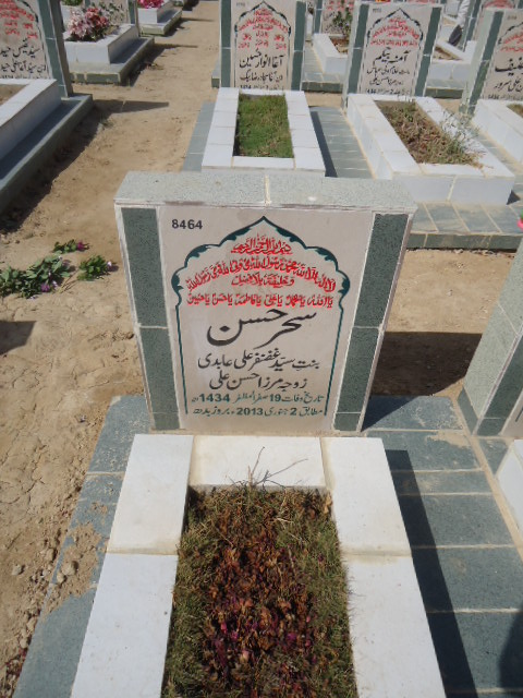 8464 – Sehar Hasan