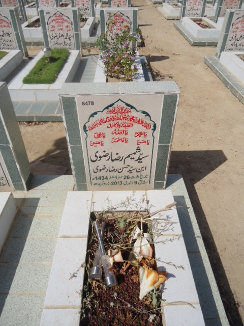 8478 – Syed Shamim Raza Rizvi