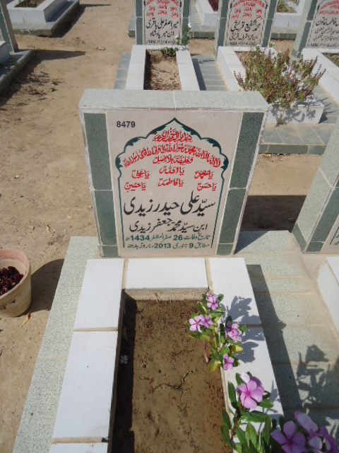 8479 – Syed Ali Haider Zaidi