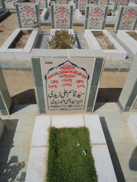 8480 – Syed Qasim Ali Zaidi