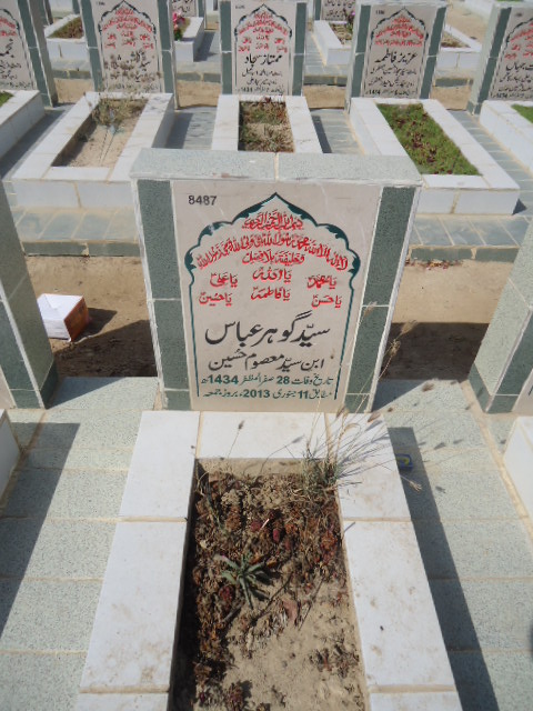 8487 – Gohar Abbas