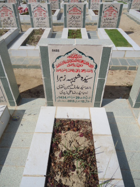 8488 – Syeda Shabhe Zehra