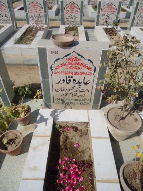 8492 – Abida Qadir