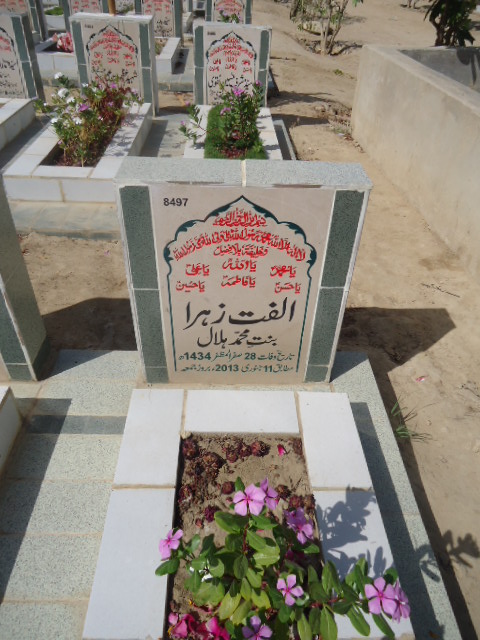 8497 – Ulfat Zehra