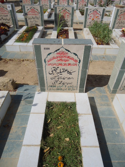 8500 – Syeda Aqeela Mujhtaba