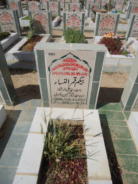 8501 – Begum Qamar Un Nisa