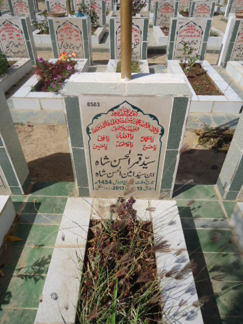 8503 – Syed Qamar Ul Hasan Shah