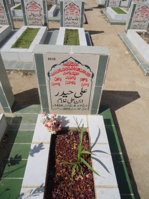 8510 – Ali Haider