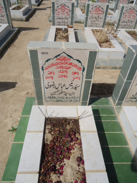 8511 – Syed Rais Abbas Rizvi