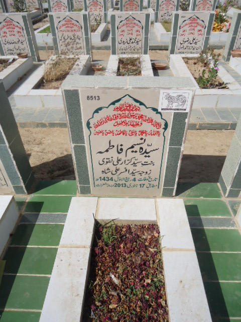8513 – Syeda Naseem Fatima