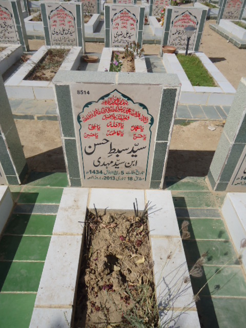 8514 – Syed Sibtay Hasan