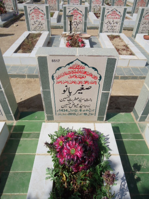 8517 – Sagheer Bano