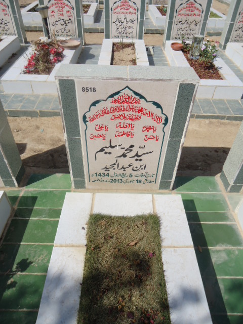 8518 – Syed Muhammad Saleem