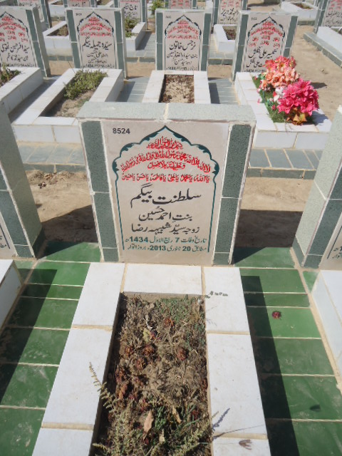 8524 – Saltanat Begum