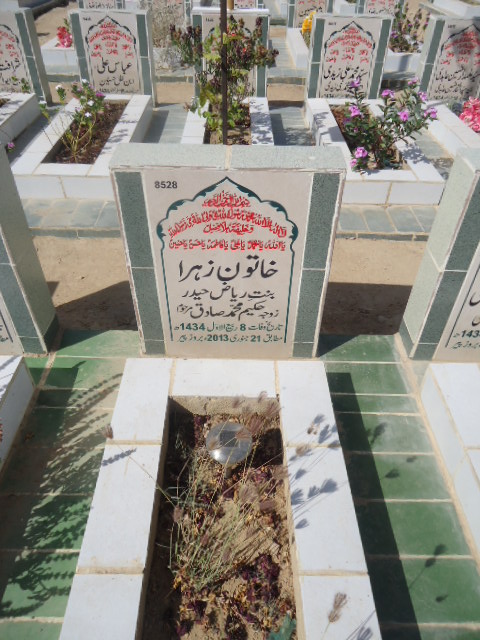8528 – Khatoon Zehra