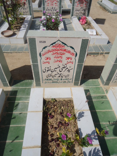 8529 – Syed Murtaza Hussain Naqvi