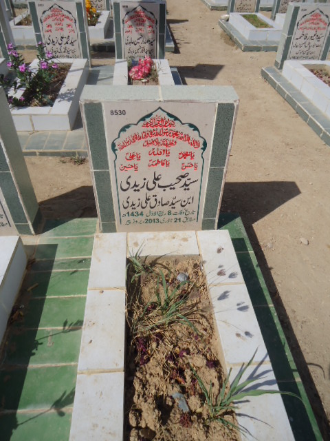 8530 – Syed Saheeb Ali Zaidi