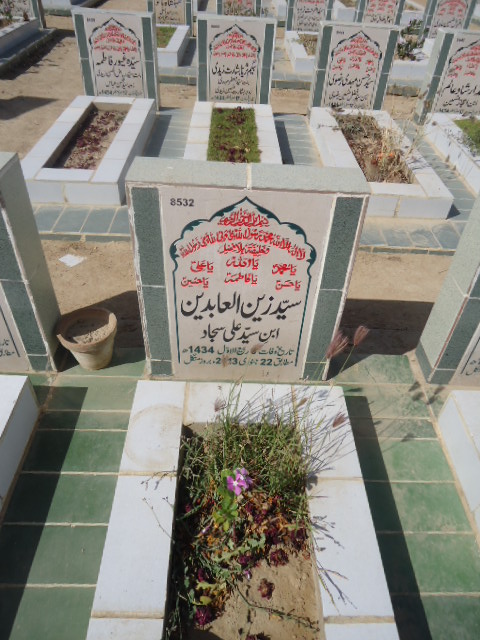 8532 – Syed Zain Ul Abideen