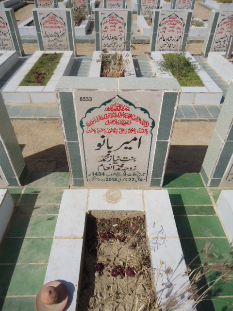 8533 – Ameer Bano