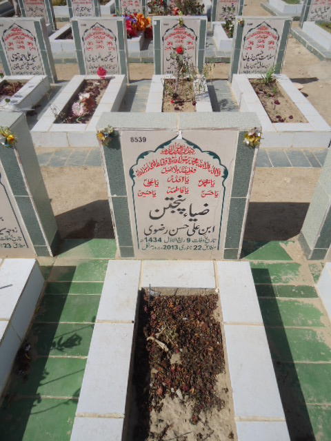 8539 – Zia Panjeetan