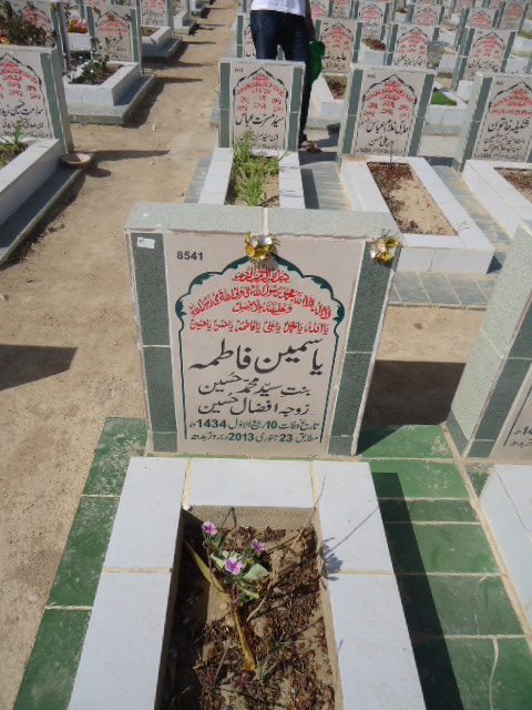 8541 – Yasmeen Fatima