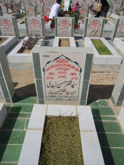 8553 – Syed Zafar Hasan Zaidi