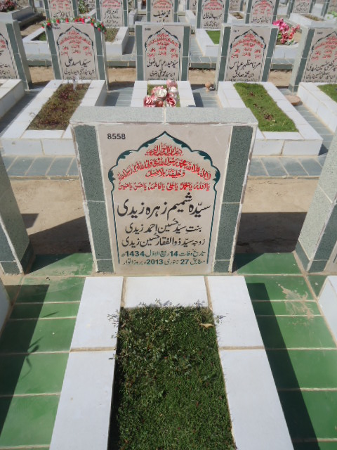 8558 – Syeda Shamim Zehra Zaidi