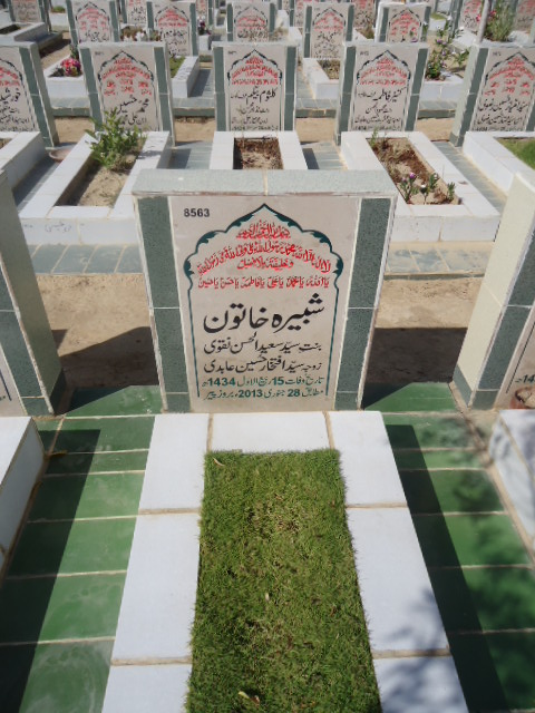 8563 – Shabbira Khatoon