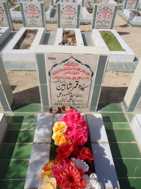 8564 – Syeda Qamar Shaheen