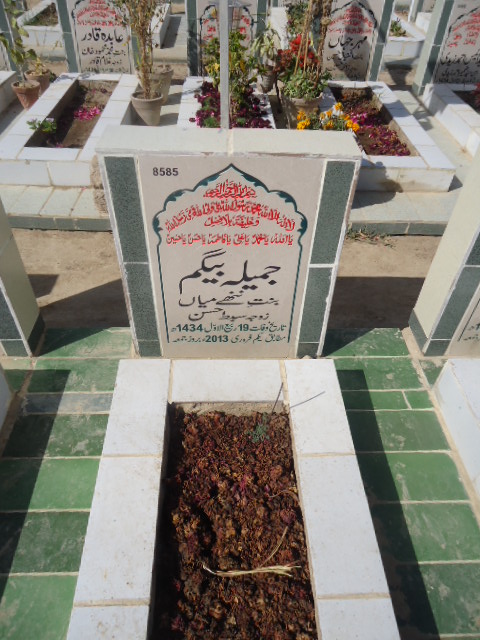 8585 – Jameela Begum