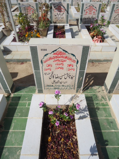 8586 – Syed Tabish Hasan Raza Kazmi