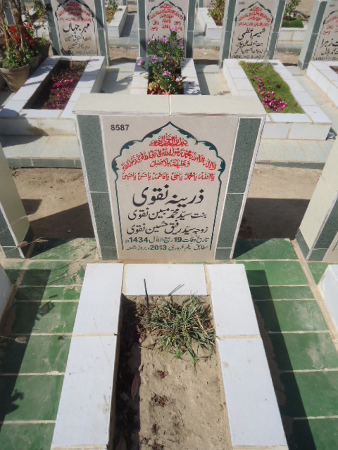 8587 – Zareena Naqvi