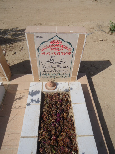 8594 – Raisa Begum