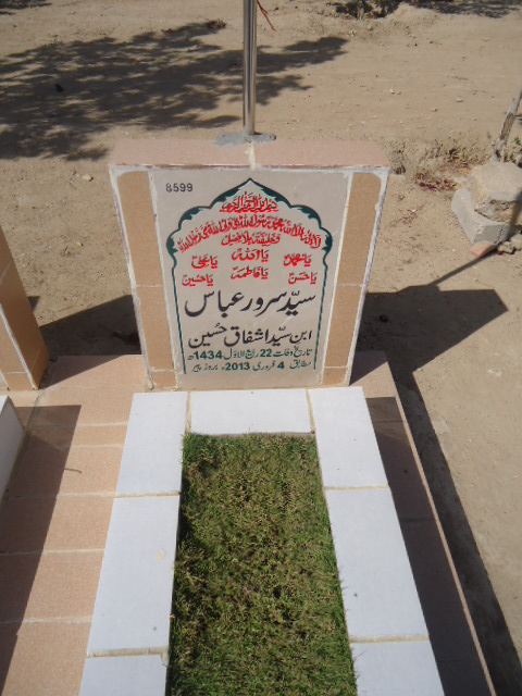 8599 – Syed Sarwar Abbas