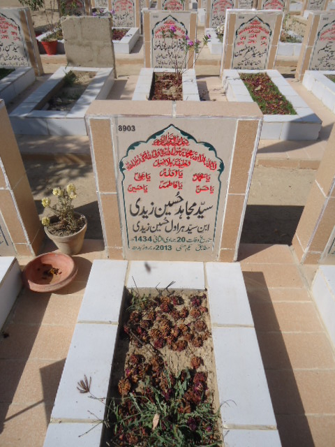 8903 – Syed Mujahid Hussain Zaidi