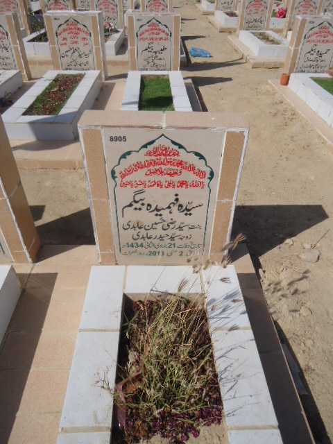 8905 – Syeda Fehmeeda Begum
