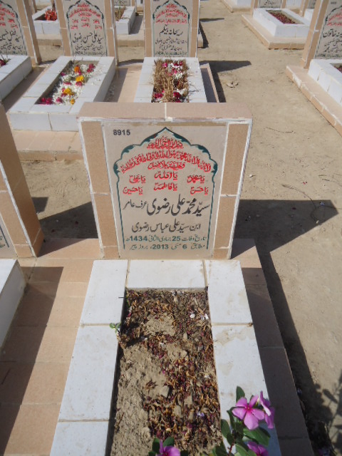 8915 – Syed Muhammad Ali Rizvi