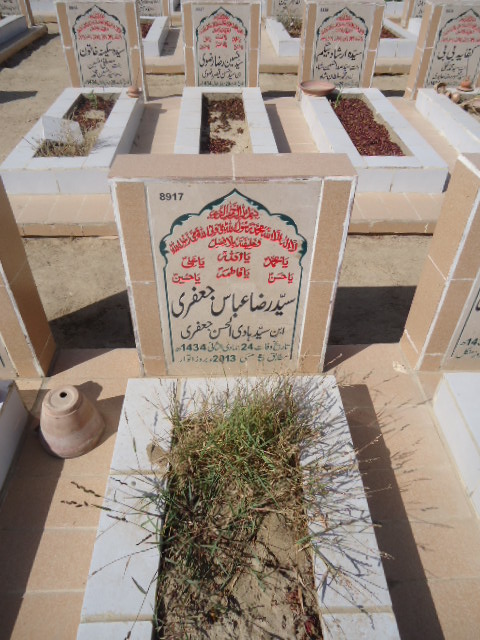 8917 – Syed Raza Abbas Jaffery