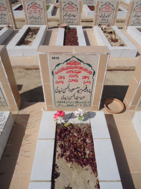 8918 – Prof Syed Masood Ul Hasan Zaidi