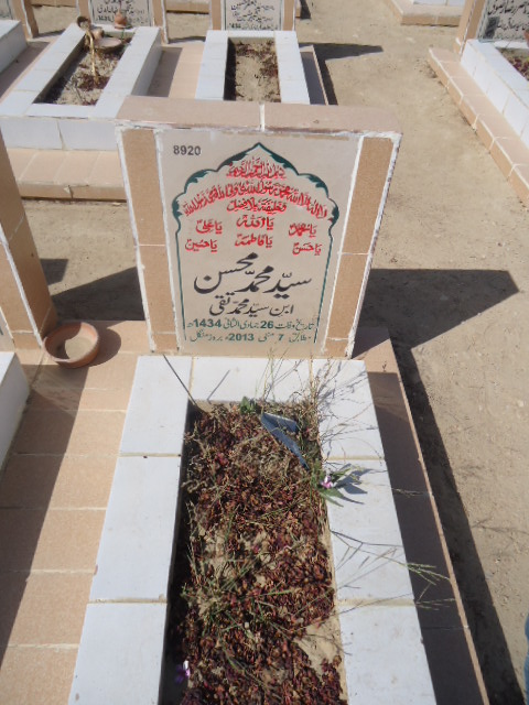 8920 – Syed Muhammad Mohsin
