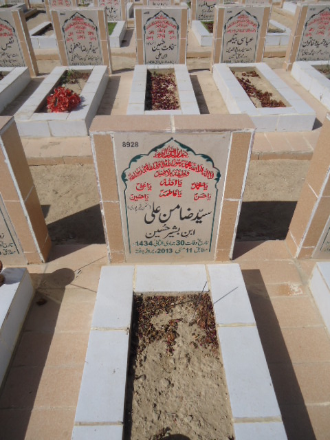 8928 – Syed Zamin Ali